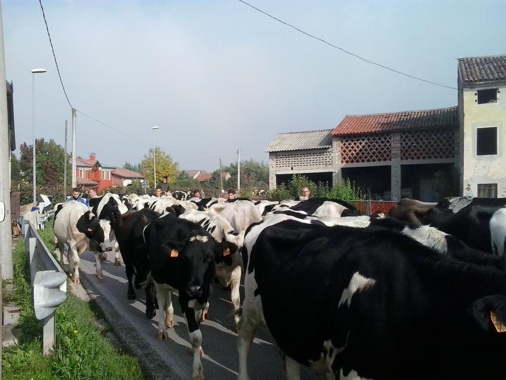 Alloggio per agriturismo La Prateria *